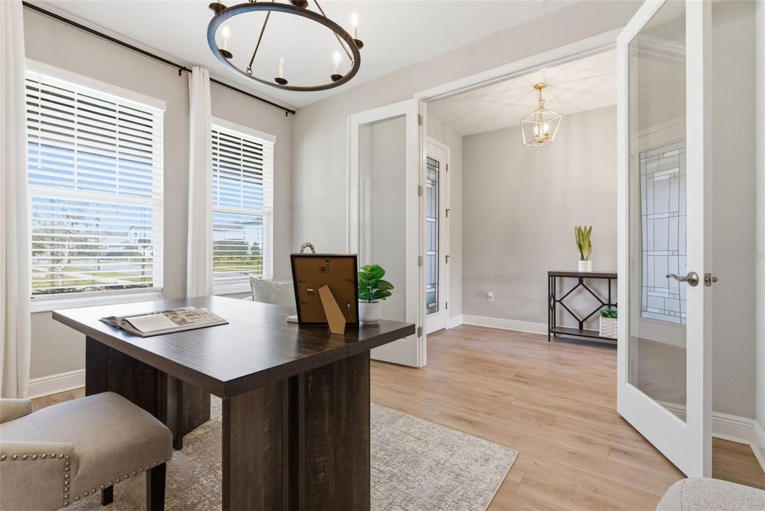 House in Land O' Lakes, Florida, United States 5 - 17309935