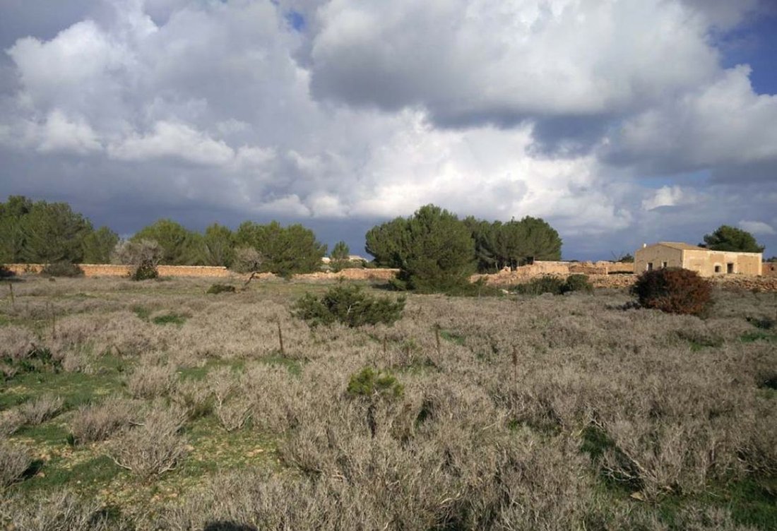Land in Formentera, Balearic Islands, Spain 2 - 17309780