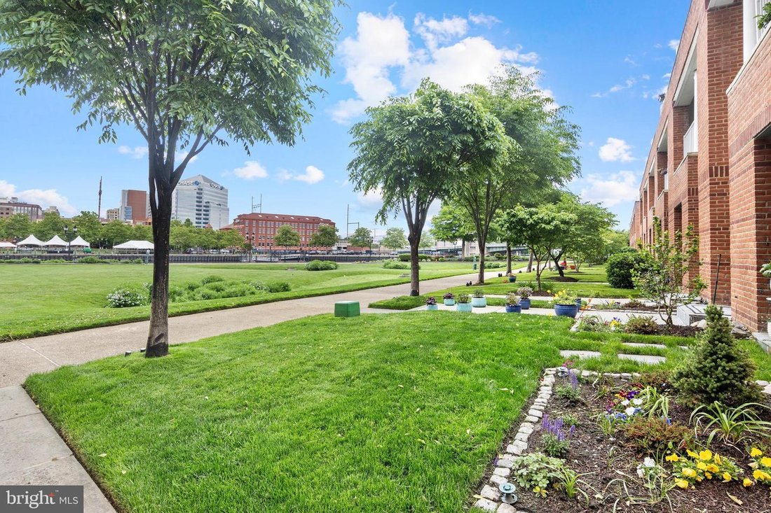 House in Wilmington, Delaware, United States 3 - 17309715