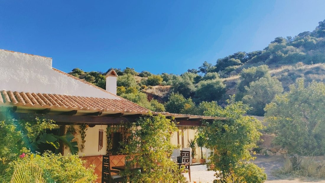 Finca in Puerto de la Torre, Malaga, Spain 4 - 17309995