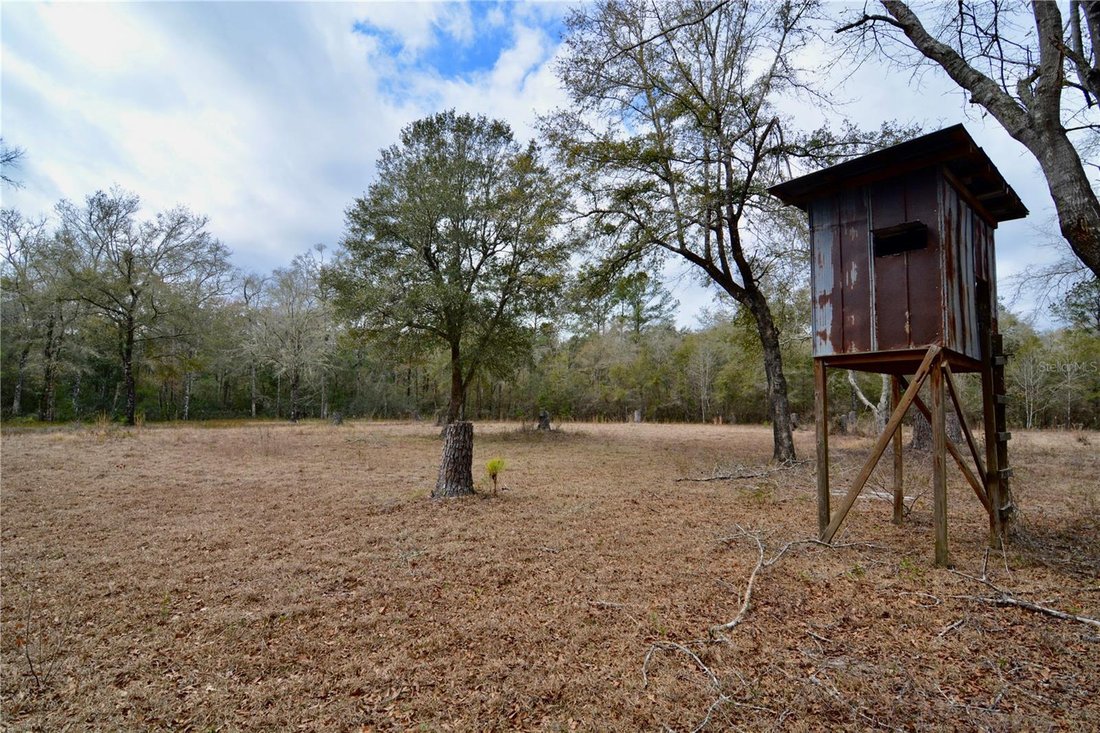 House in Sopchoppy, Florida, United States 5 - 17309932