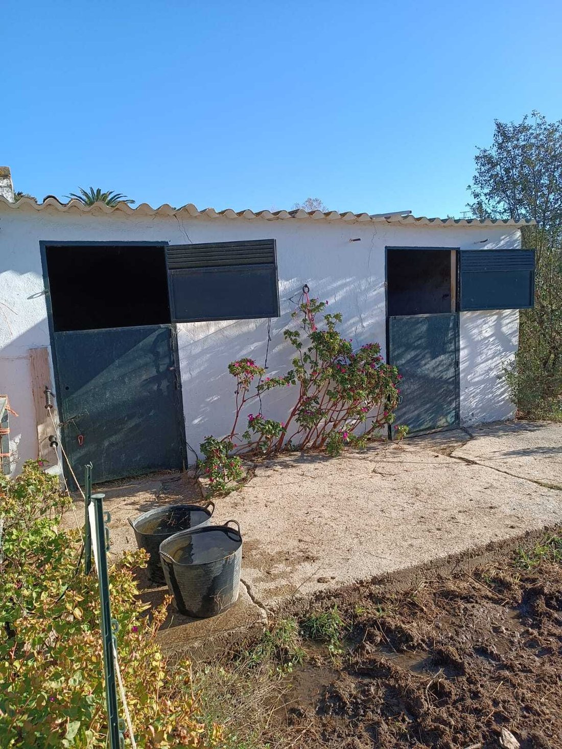 Country House in Casares, Andalusia, Spain 4 - 17320930