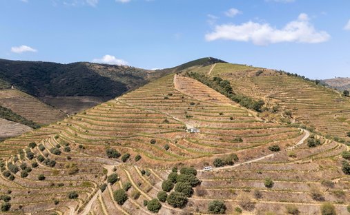 Azienda agricola a Vilarouco e Pereiros, Distretto di Viseu, Portogallo 1