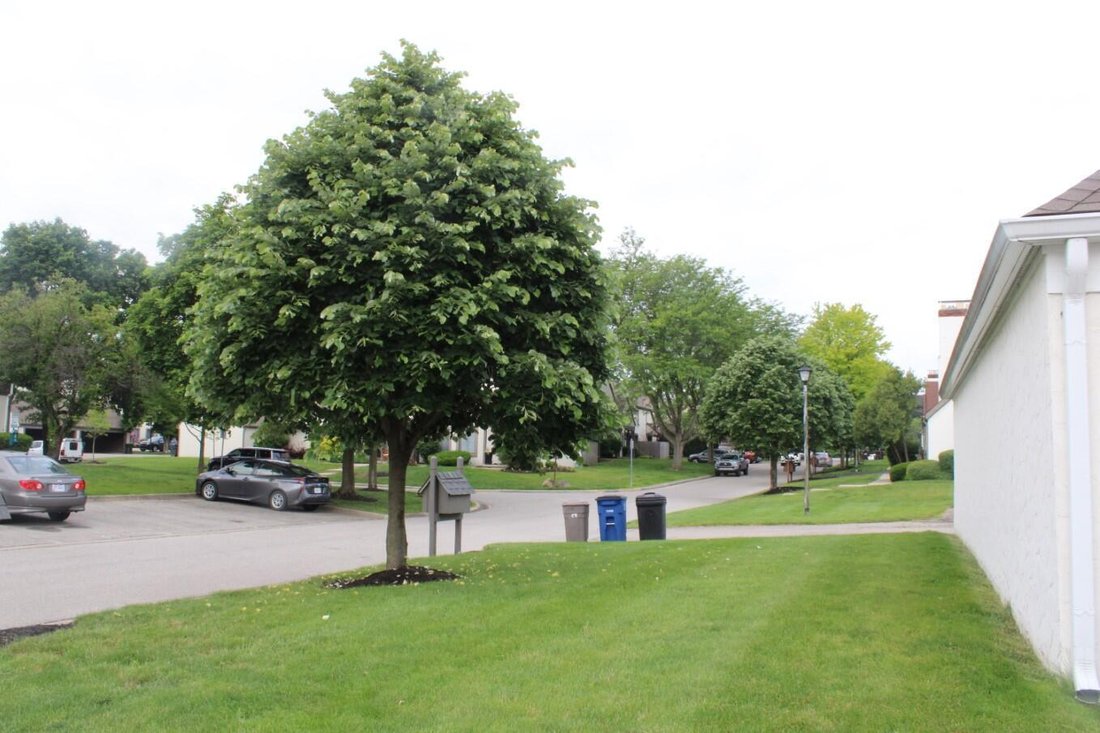 Autres à Dublin, Ohio, États-Unis 5 - 17310871