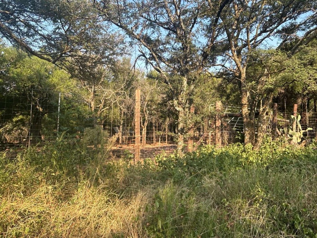 Farm Ranch in Johannesburg, Gauteng, South Africa 4 - 17321239