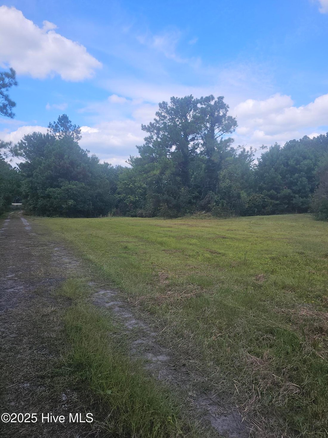 House in Holly Ridge, North Carolina, United States 3 - 17318969