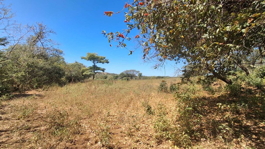 Farm Ranch in San Rafael del Sur, Managua, Nicaragua 1 - 17313726