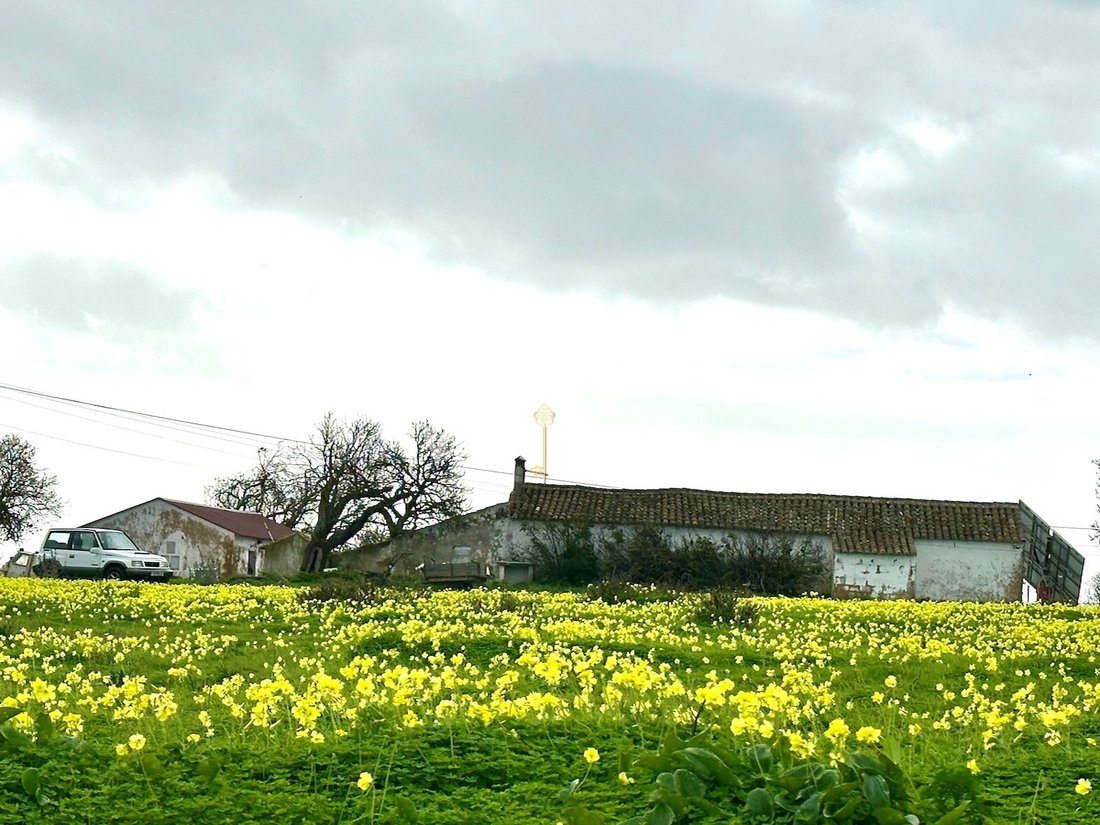 Land in São Sebastião, Lagos, Sao Goncalo de Lagos, Portugal 3 - 17316536