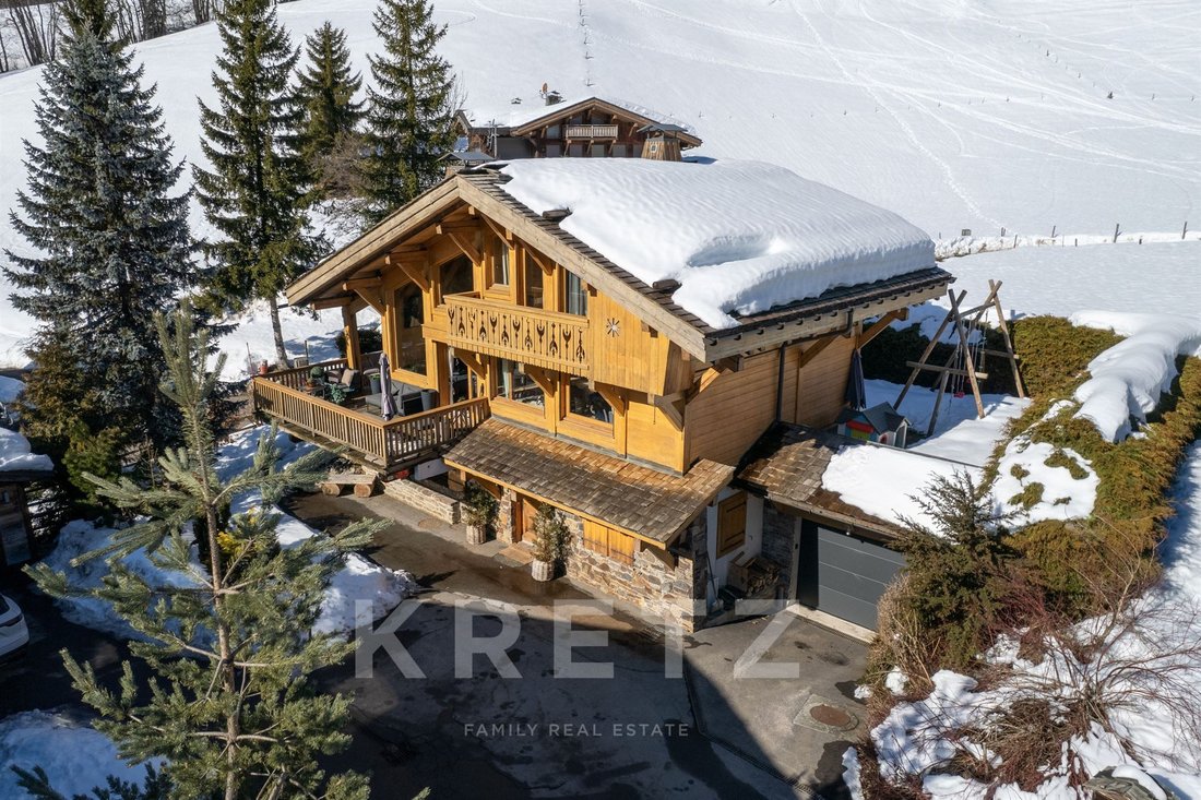 Chalet in Demi-Quartier, Auvergne-Rhône-Alpes, France 1 - 17316039