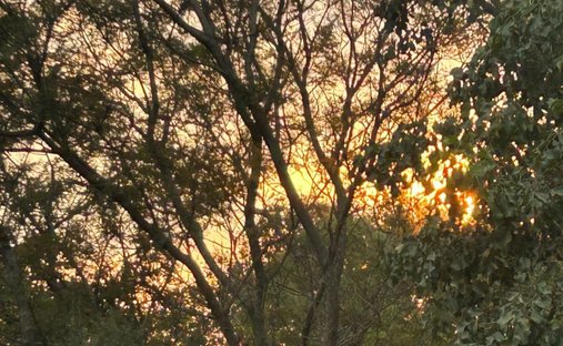 Farm Ranch in Johannesburg, Gauteng, South Africa 1