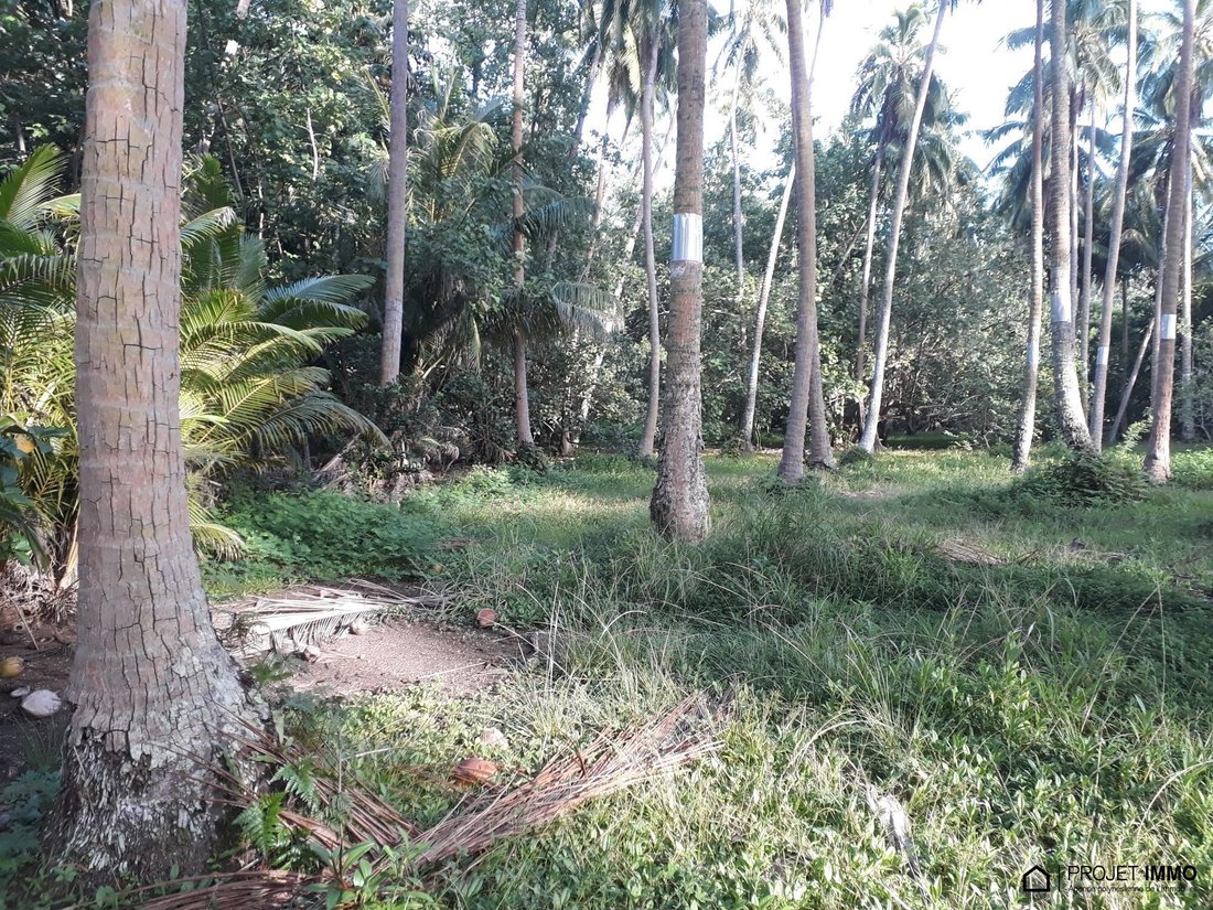 Land in Moorea-Maiao, Windward Islands, French Polynesia 3 - 17315107