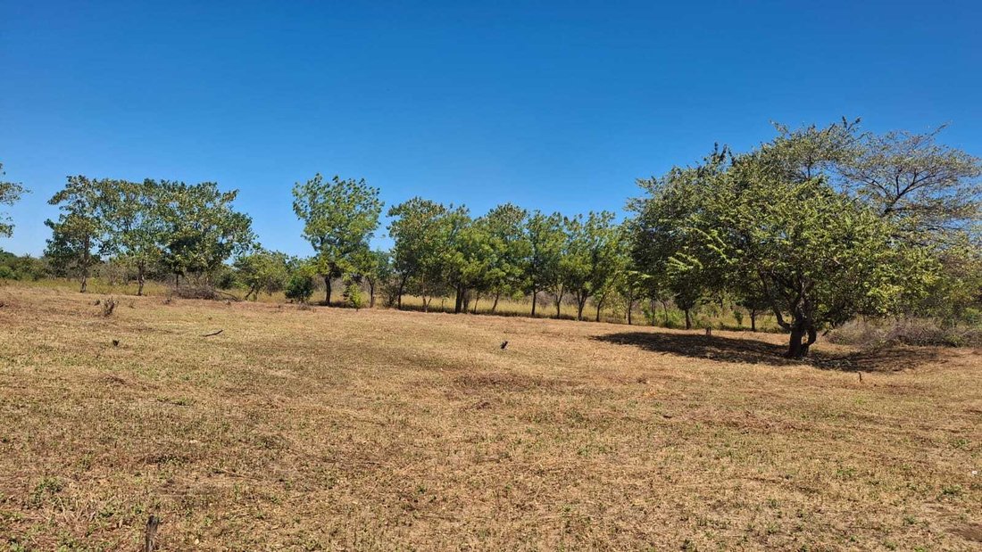 Farm Ranch in San Rafael del Sur, Managua, Nicaragua 3 - 17313726