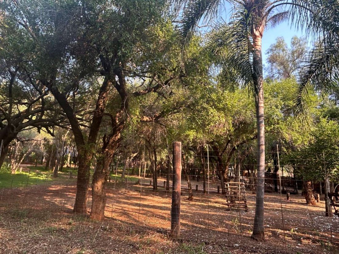Farm Ranch in Johannesburg, Gauteng, South Africa 5 - 17321239