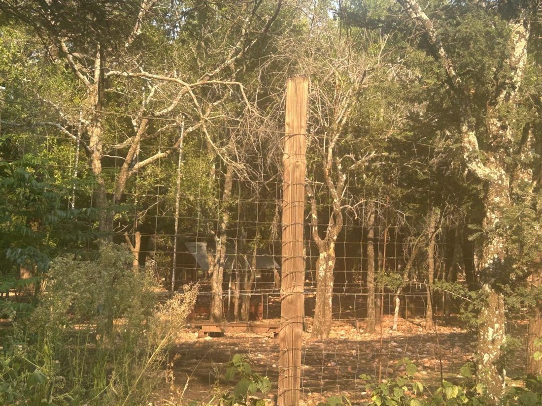 Farm Ranch in Johannesburg, Gauteng, South Africa 3 - 17321239