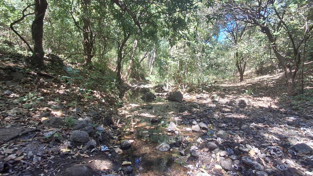Farm Ranch in San Rafael del Sur, Managua, Nicaragua 5 - 17313726