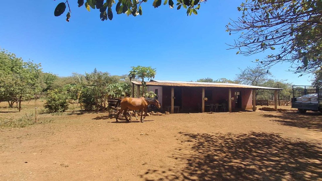 Farm Ranch in San Rafael del Sur, Managua, Nicaragua 2 - 17313726