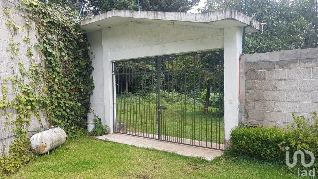 Cobrería, Puebla, Mexico 2 - 17317838