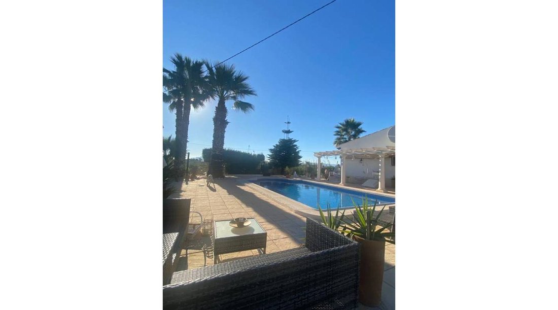 Finca in Dolores, Valencian Community, Spain 5 - 17311516