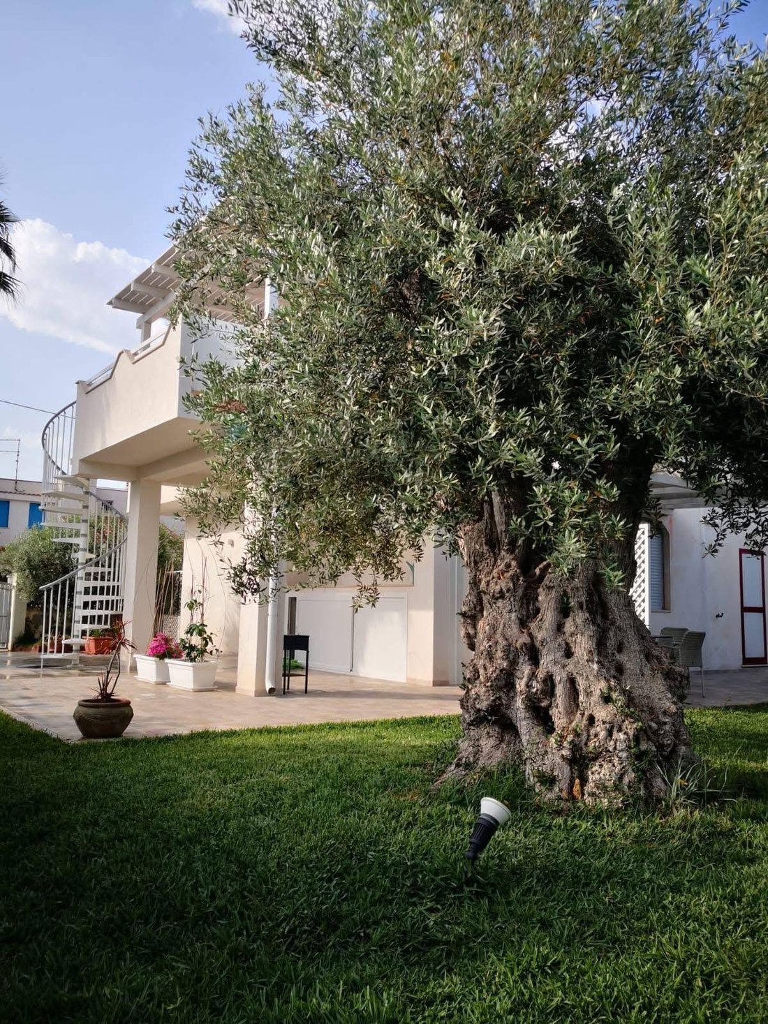Villa in Riserva di Vendicari - Marzamemi - San Lorenzo, Noto, Sicily 1 - 17319583