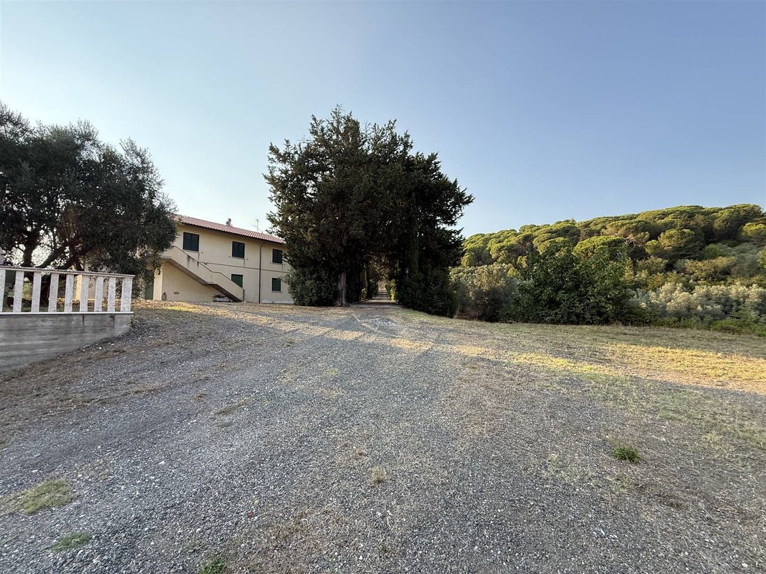 Estate in Vada, Rosignano Marittimo, Tuscany 1 - 17310155