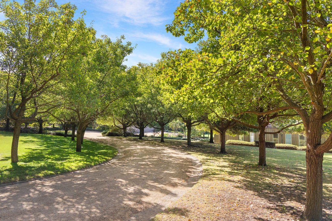 Red Hill South, Victoria, Australia 2 - 17323509
