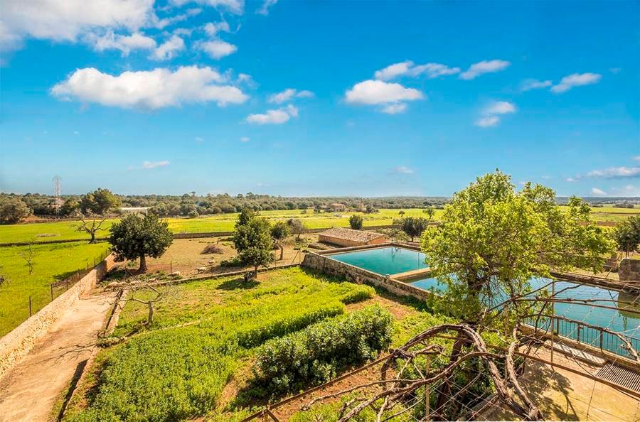 Finca in Sant Joan, Balearic Islands, Spain 4 - 17320195