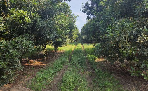 Farm Ranch in White River, Mpumalanga, South Africa 1