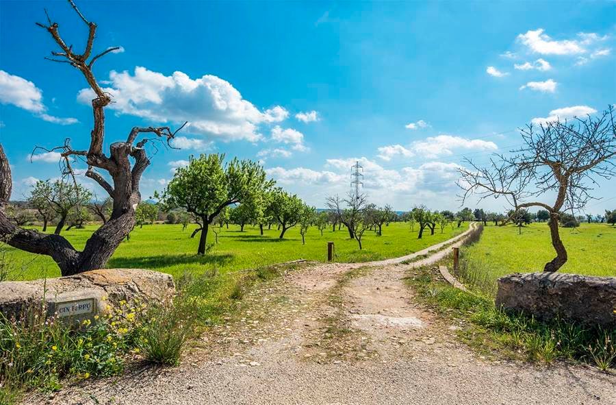 Finca in Sant Joan, Balearic Islands, Spain 2 - 17320195