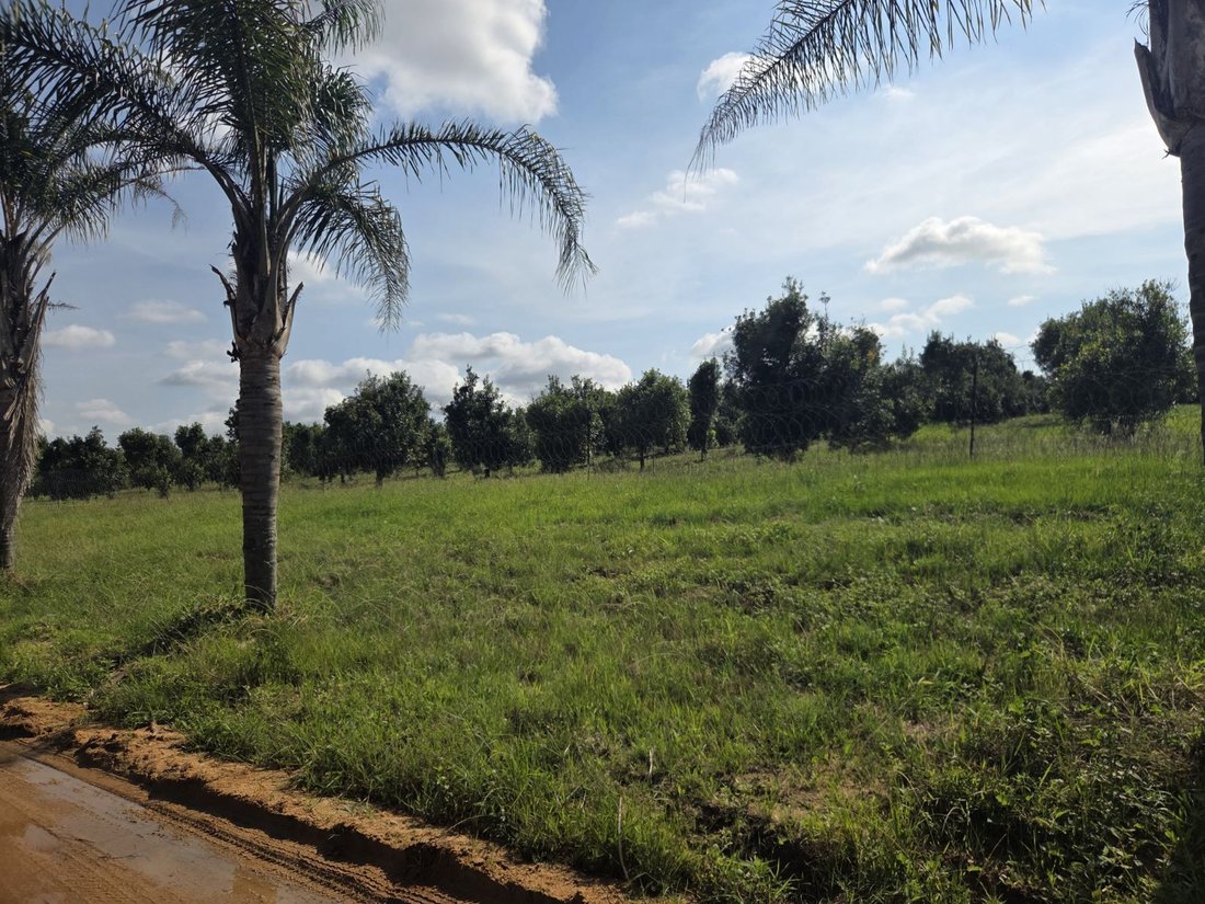 Farm Ranch in Johannesburg, Gauteng, South Africa 5 - 17310850