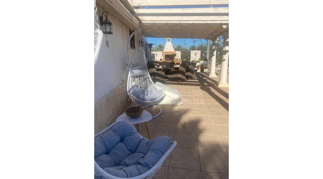 Finca in Dolores, Valencian Community, Spain 3 - 17311516