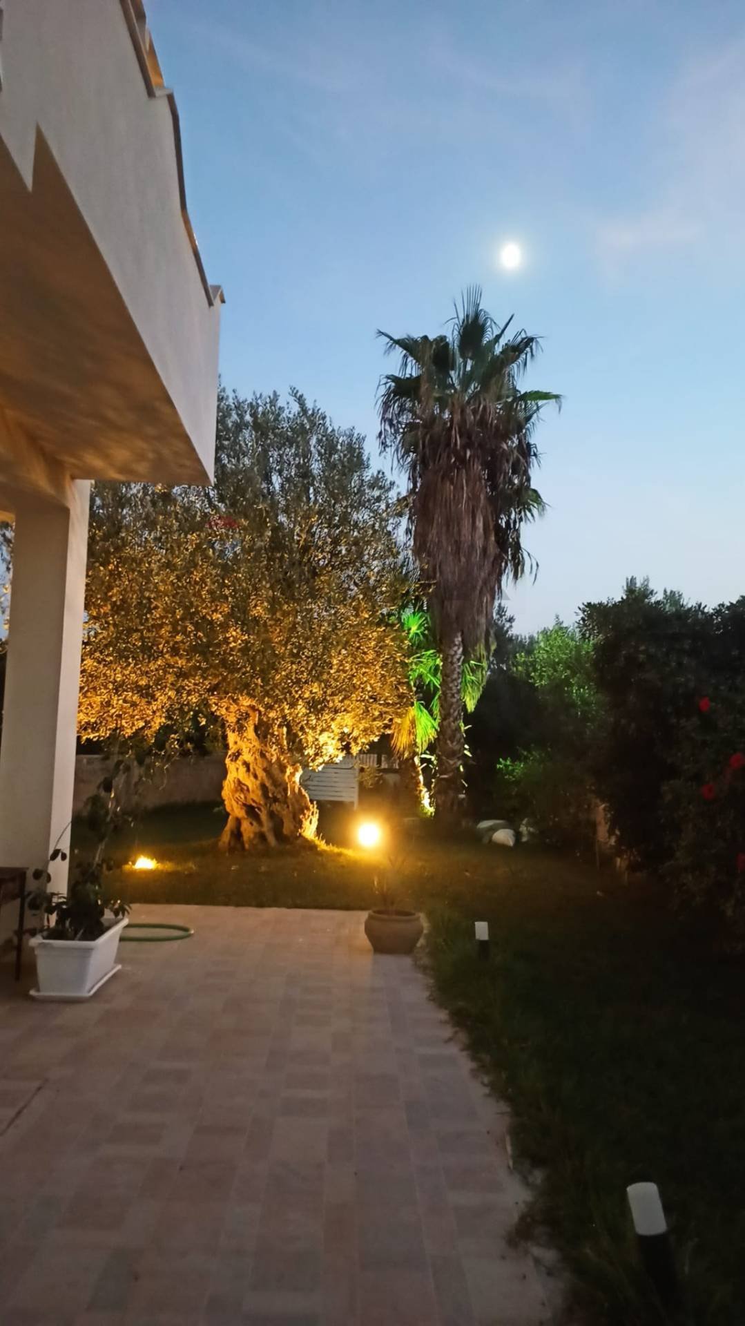 Villa in Riserva di Vendicari - Marzamemi - San Lorenzo, Noto, Sicily 4 - 17319583
