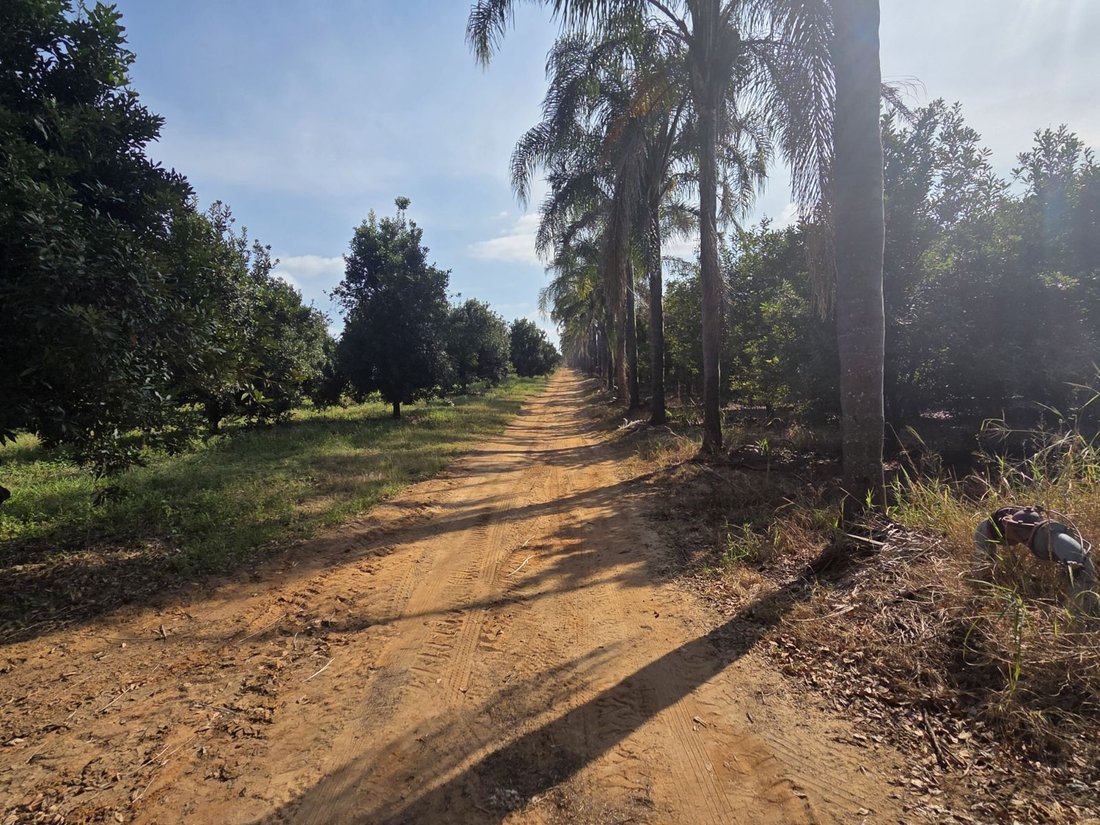 Farm Ranch in Johannesburg, Gauteng, South Africa 4 - 17310850