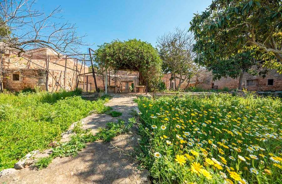 Finca in Sant Joan, Balearic Islands, Spain 3 - 17320195