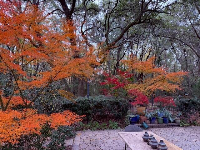 House in Mount Pleasant, South Carolina, United States 2 - 17316991