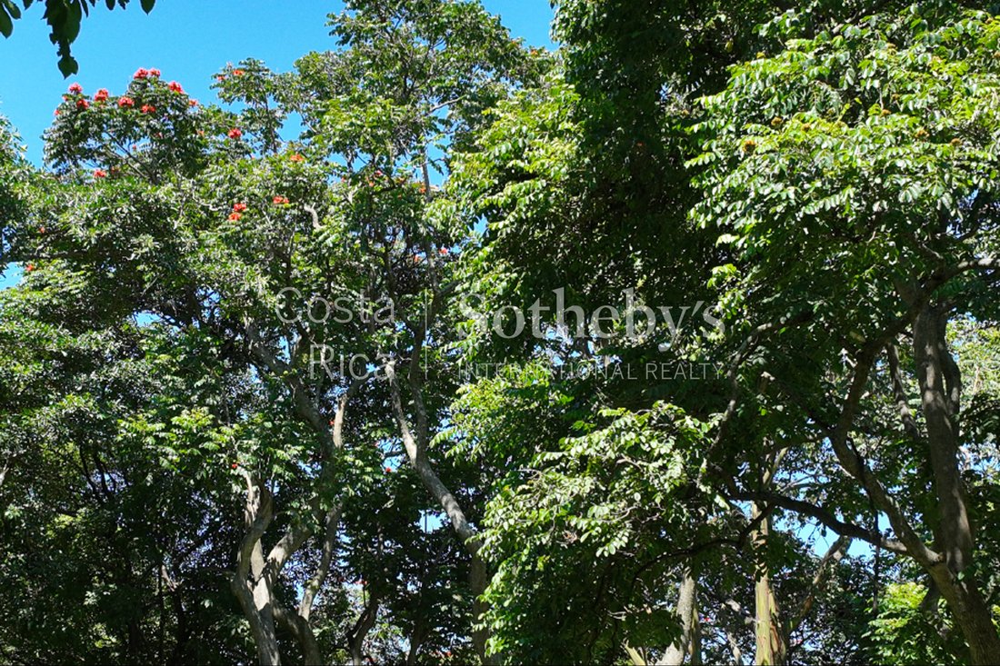 Apartment in Cinco Esquinas, San José Province, Costa Rica 4 - 17312125