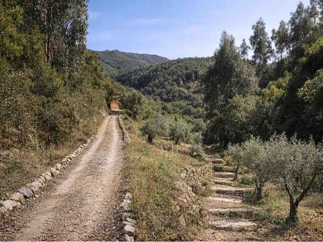 Farm Ranch in Monchique, Algarve, Portugal 5 - 13376748