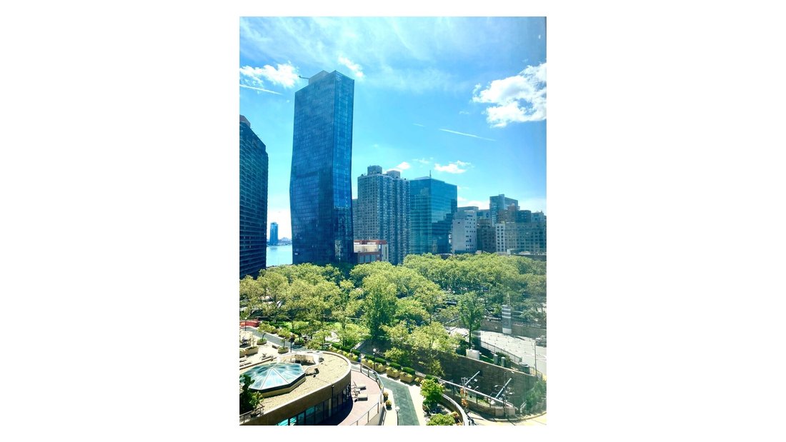 Appartement à New York, État de New York, États-Unis 1 - 16933882