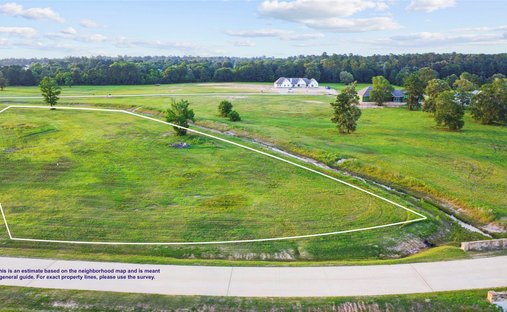 Land in Hockley, Texas, United States 1