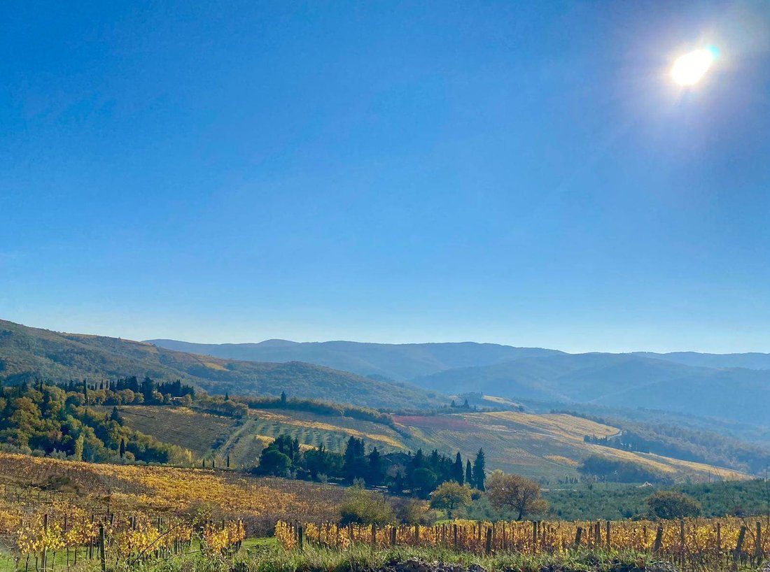 Estate in Montefioralle, Greve in Chianti, Tuscany 1 - 17319113