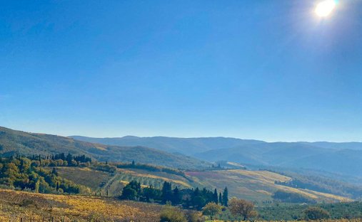 Estate in Montefioralle, Greve in Chianti, Tuscany 1