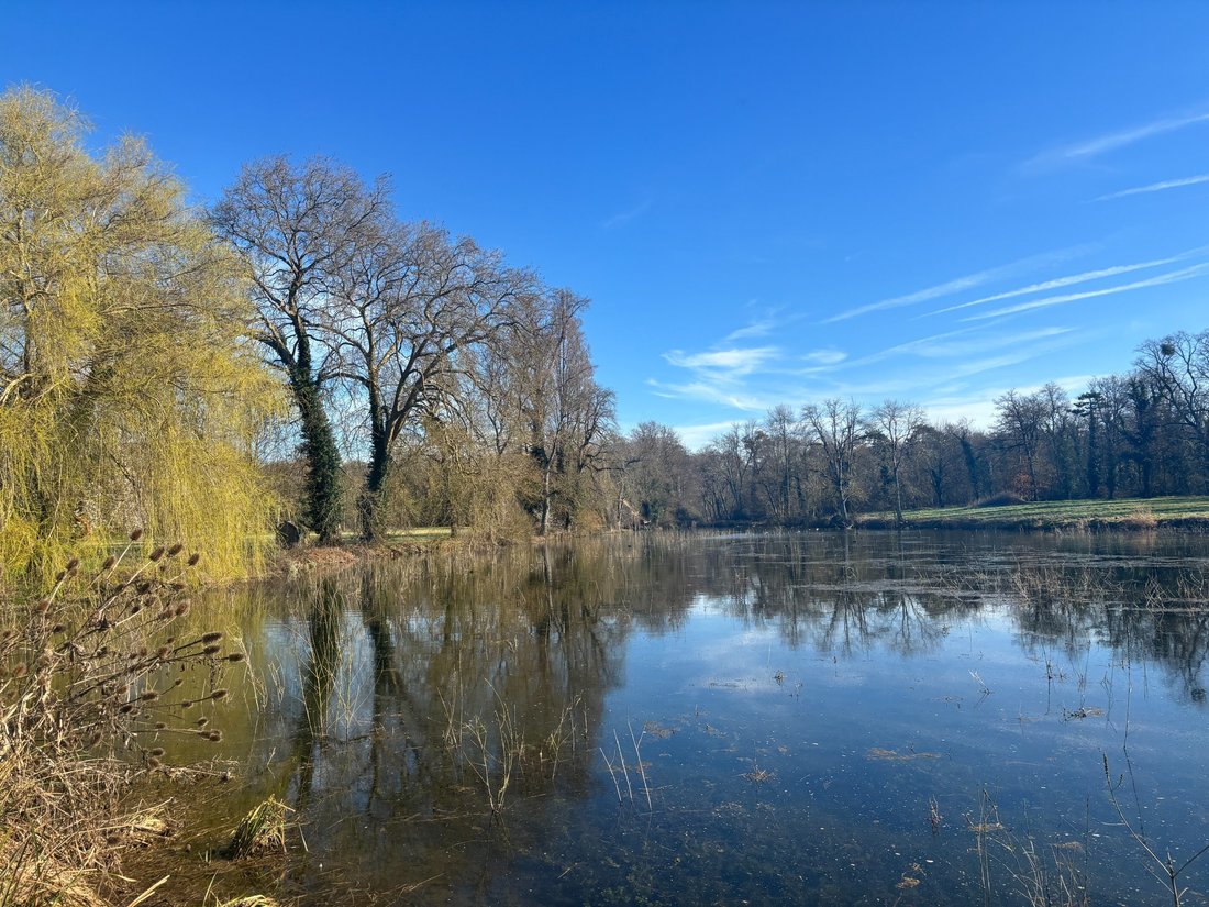House in Huisseau-sur-Mauves, Centre-Val de Loire, France 5 - 17314710