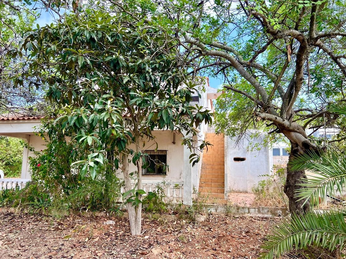 Villa in Loule (Sao Sebastiao), Algarve, Portugal 3 - 17315686