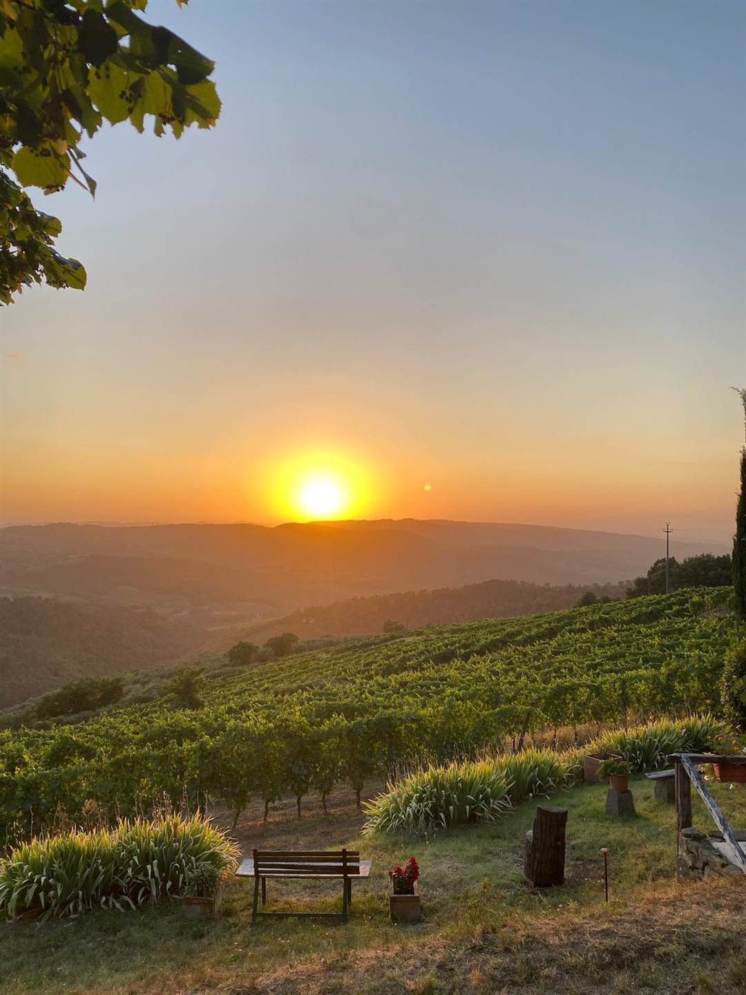 Estate in Montefioralle, Greve in Chianti, Tuscany 5 - 17319113