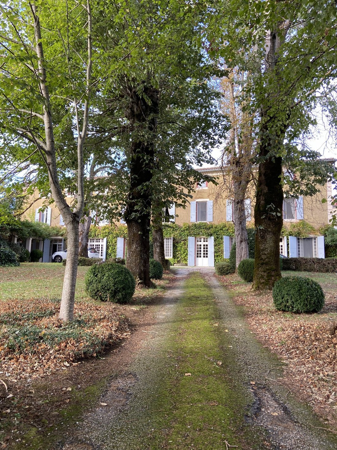 House in Burlats, Occitania, France 1 - 13830713