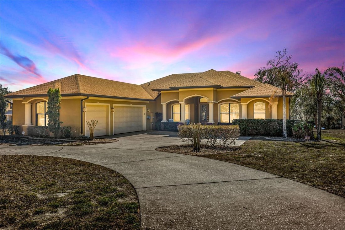 House in Riverview, Florida, United States 1 - 17323263