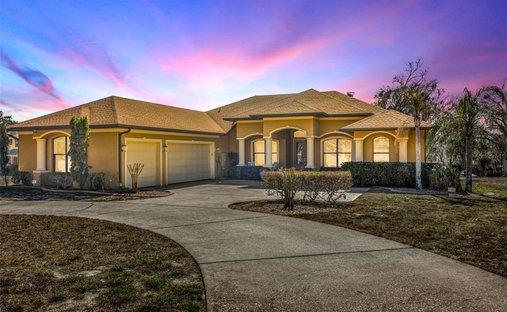 House in Riverview, Florida, United States 1