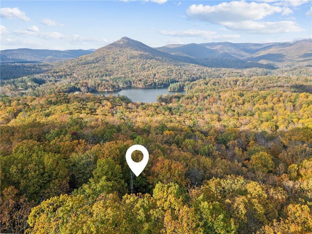 House in Jasper, Georgia, United States 3 - 17315568