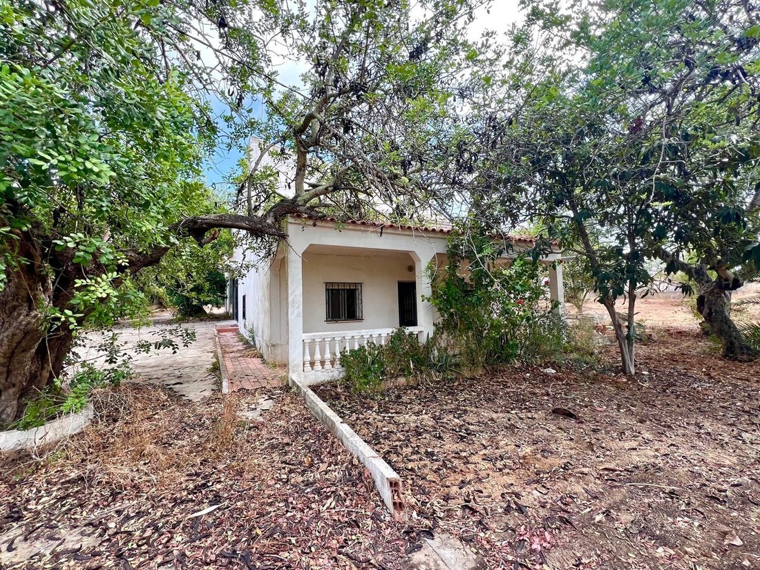 Villa in Loule (Sao Sebastiao), Algarve, Portugal 5 - 17315686