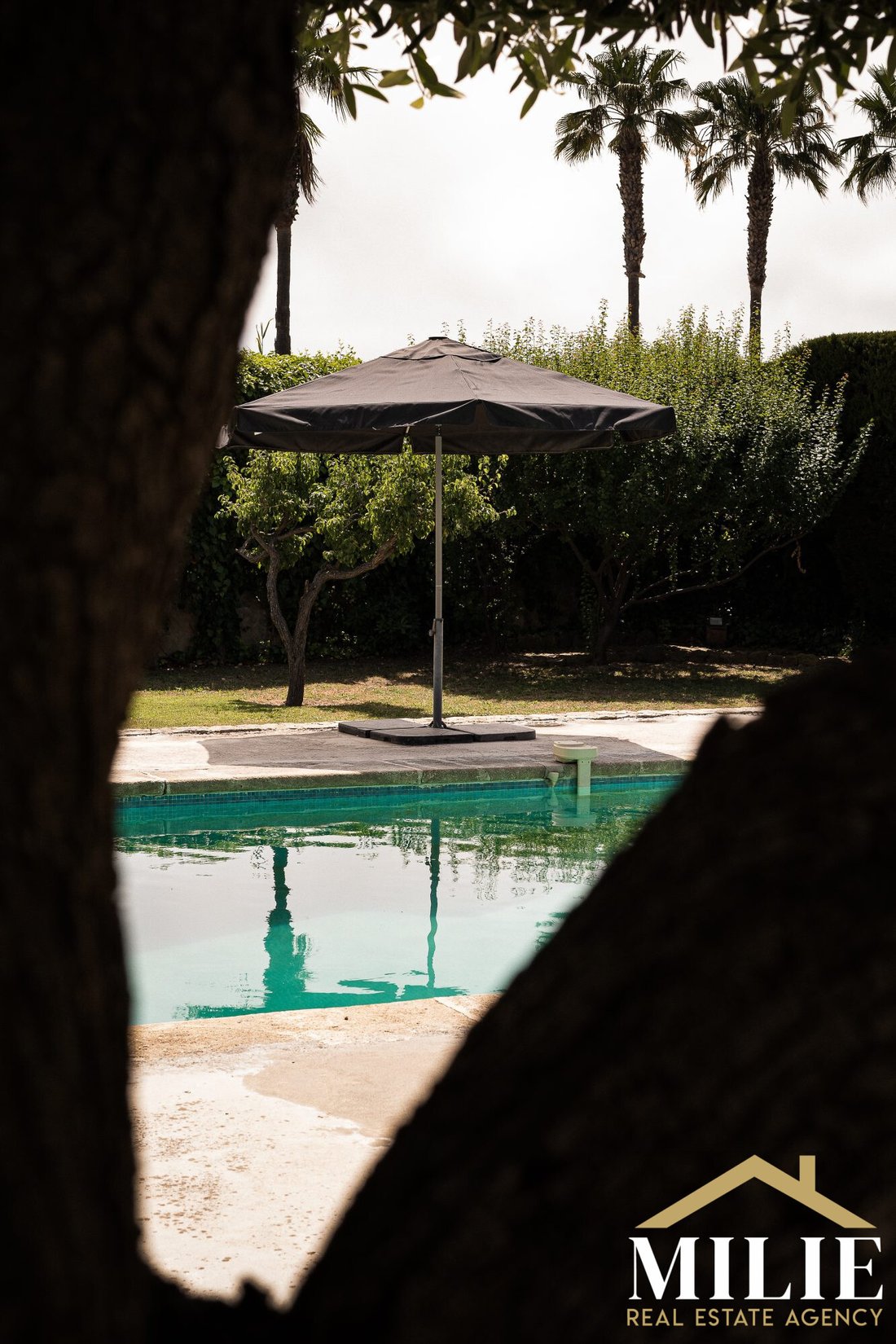 Villa en Bandol, Provenza-Alpes-Costa Azul, Francia 1 - 15703540