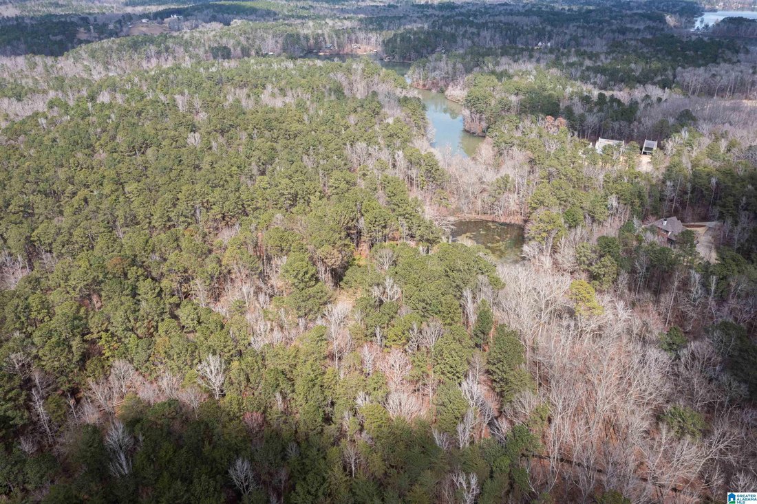 Land in Leeds, Alabama, United States 2 - 17323355